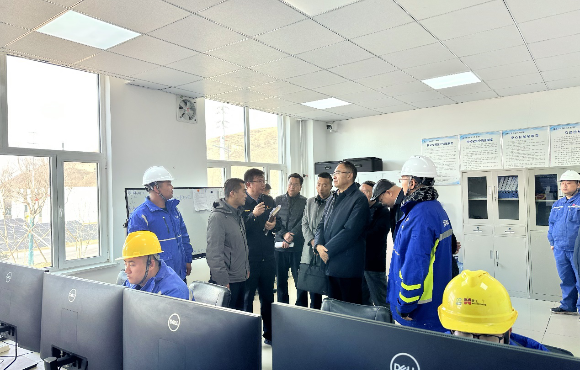 青海省生態(tài)環(huán)境廳黨組書記、廳長湯宛峰調(diào)研麥王項目