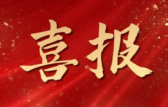 TOP 12！中節(jié)能國禎榮登中國品牌價值 “其他服務類”